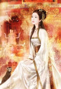 老鼠和大象的魔法爱情
